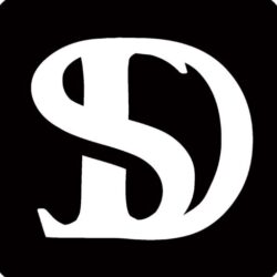 DS Ltd.
